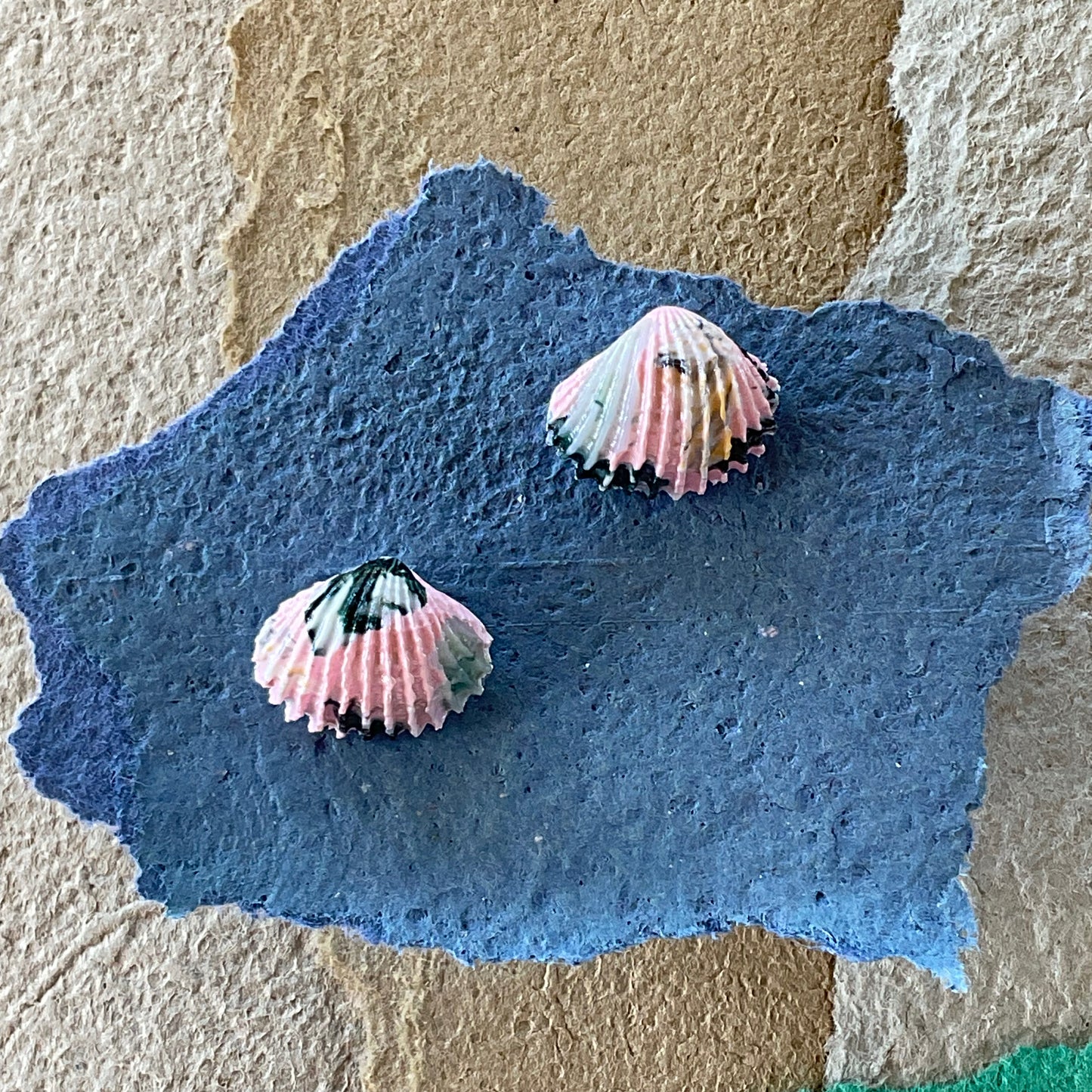 Petite Shell - Pink Terrazzo