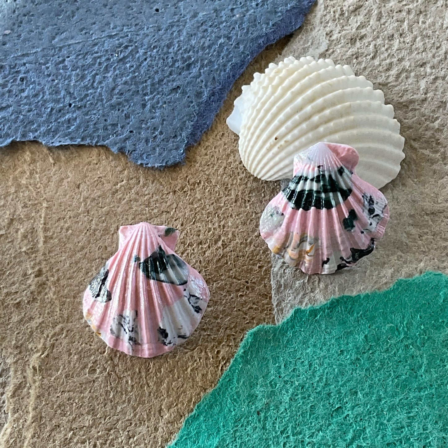 Grande Shells - Pinks and Blues