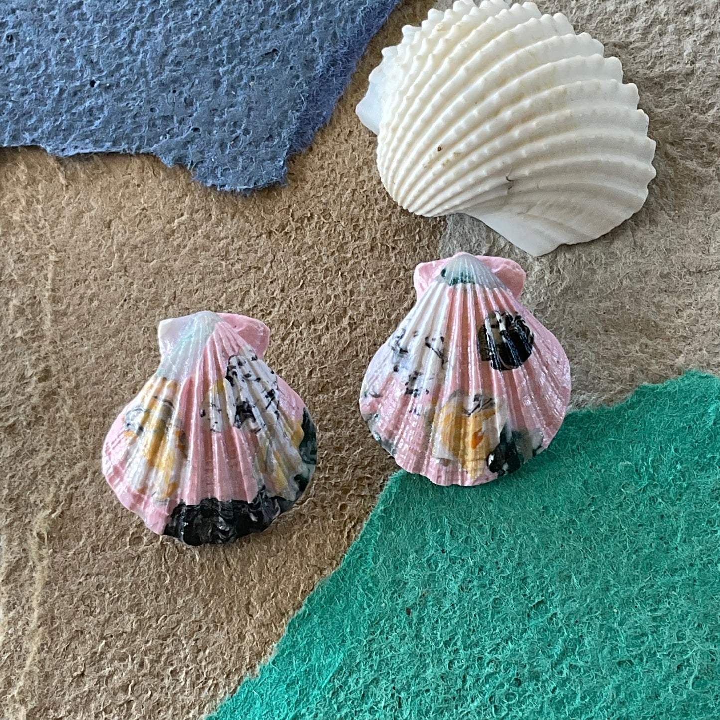 Grande Shells - Pinks and Blues