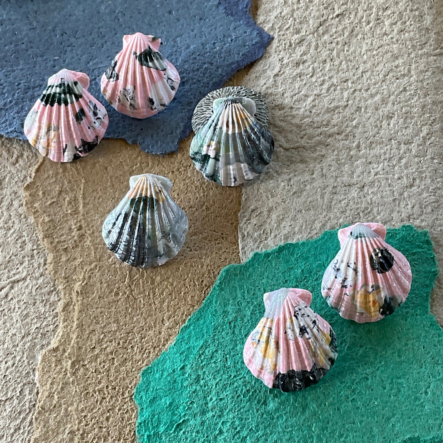 Grande Shells - Pinks and Blues